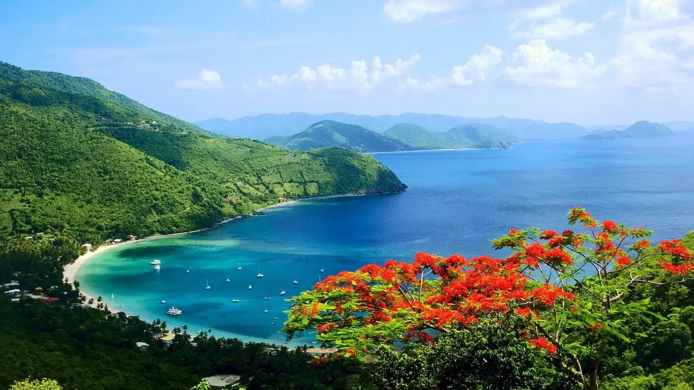 高质量高标准